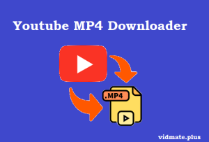 Youtube MP4 Downloader